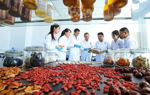 科技赋能，张掖植物工厂助力农特产品提质增效